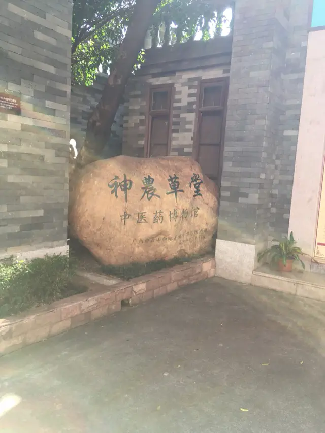 Shennong Herbal Hall Traditional Chinese Medicine Museum