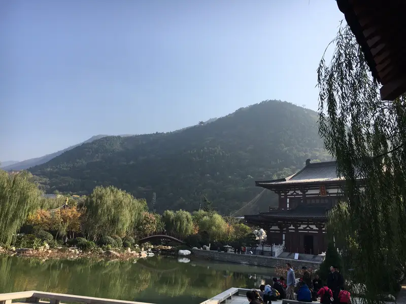 Lotus Viewing Platform