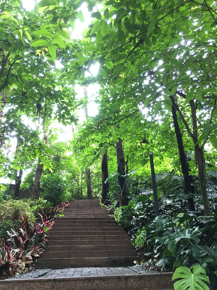 Nangang Mountain Park