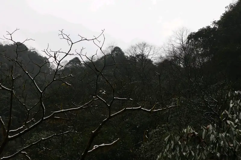 Xiling Snow Mountain Dafeishui Scenic Area