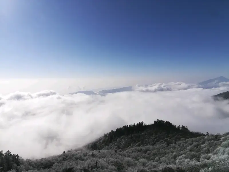 Cloud Viewing Pavilion