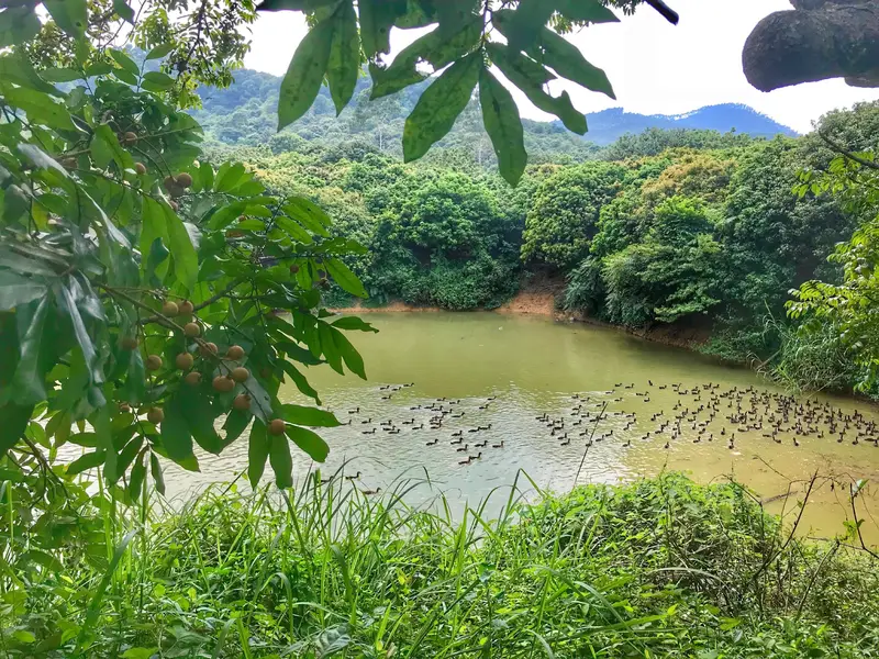 Luogang Children'S Park