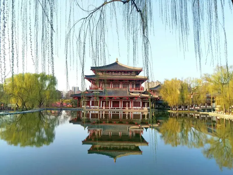 Lotus Garden