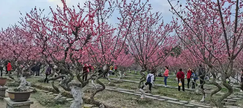 Gongwang Temple