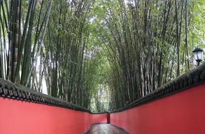Red Wall Bamboo Shadow