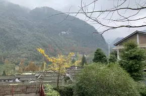 Five Dragons Bridge