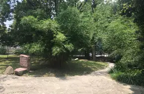 Huaxia Square