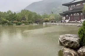Lotus Viewing Platform