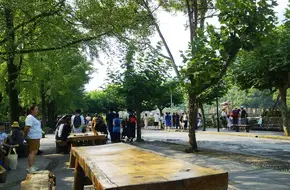 Couple'S Bridge