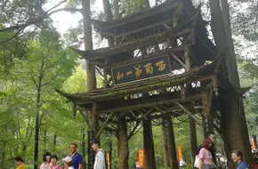 Sightseeing Bus Boarding Area