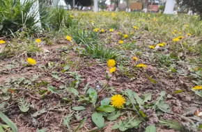 Binhe Ecological Park