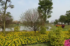Baiyun Mountain Scenic Area - Summit Park