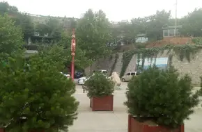 Peony Gate