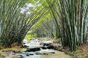 Huangma Village