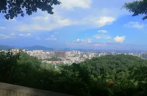 Leaping Cloud
