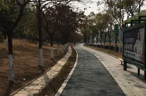 Niujiaoling Park