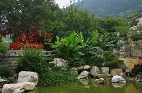 Cuihua Gate