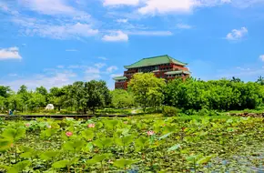 South China Agricultural University Wetland Park