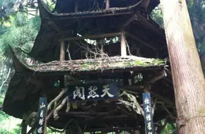 Qingcheng Mountain-Natural Pavilion
