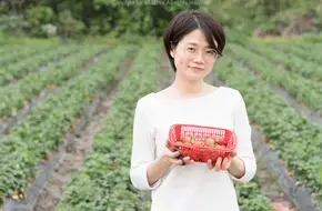 Xingwang Strawberry Garden