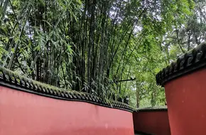 Red Wall Bamboo Shadow
