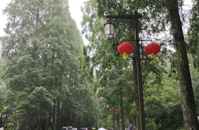 Qingcheng Mountain Cableway