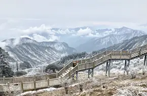 Back Mountain