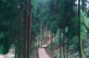 Another Village