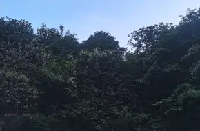 Liaoyuan Village