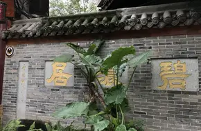 Huanglongxi Butterfly Welcoming Theme Park