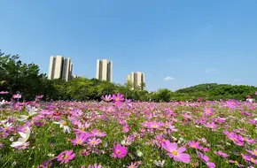 Guangzhou Innovation Park 