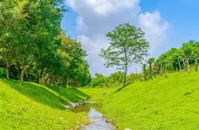 Tianhe Wetland Park