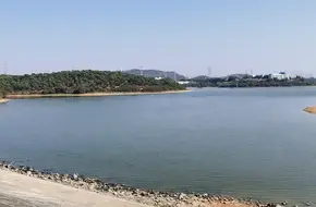 Xintong Wantian Ecological Park