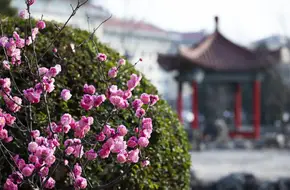 Xi'An Siyuan College