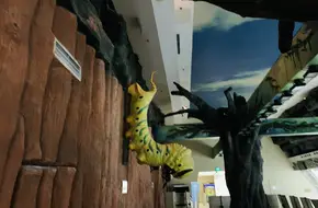 Chengdu Huaxi Insect Museum