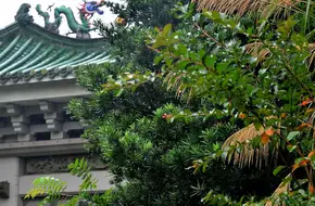 Jiulong Fountain