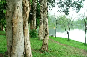 Tianhe Park