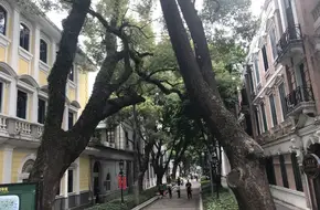Friendship Garden