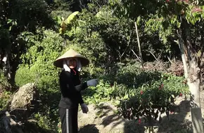 Huangdeng Village