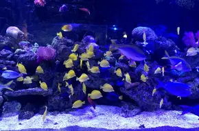 Grandview Polar Ocean World