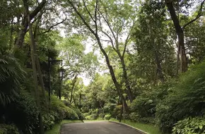 Qingcheng Road Hot Spring