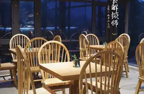 Panda Forest