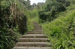 Baihua Temple