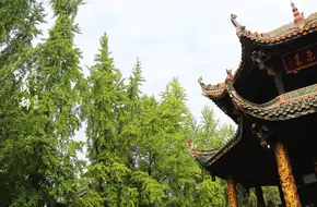 Hall Of The Three Purities