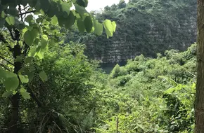 Xiancun Wudai Ling Forest Park