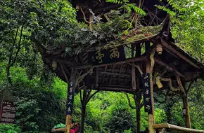 Qingcheng Mountain Front Area