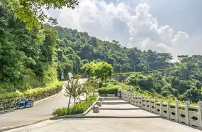 Huolu Mountain Forest Park