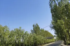 Bailu Yuan Grape Theme Park