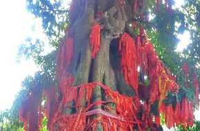 Zhenjiang Temple