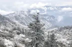 Back Mountain